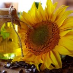 sunflower-oil-for-natural-skin-care-thousand-oaks